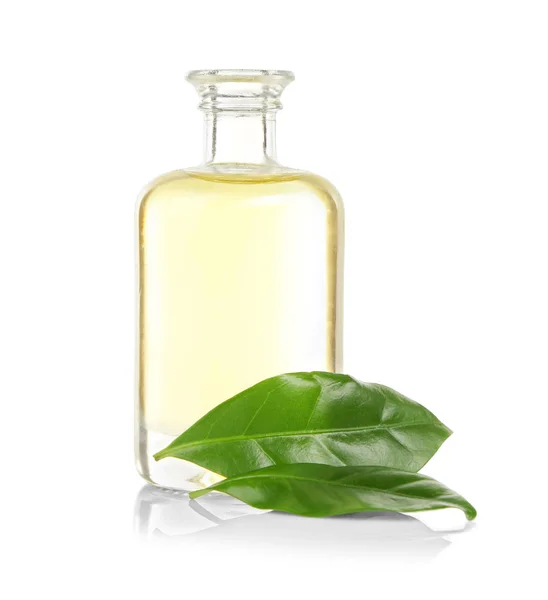 Tea oil in glass bottle — Stock Photo, Image