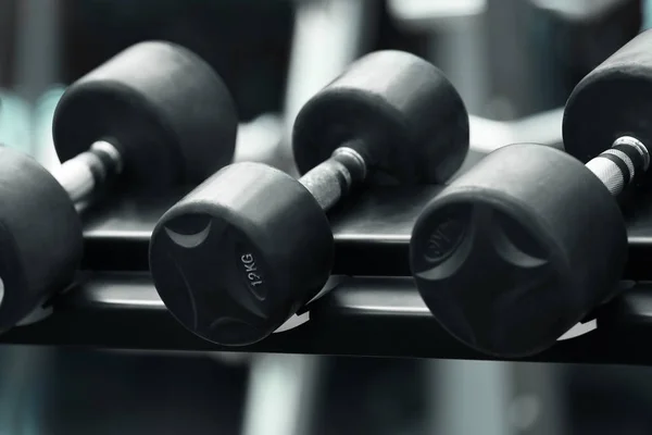 Set of dumbbells in gym — Stock Photo, Image
