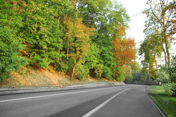 Road along autumn park — Stock Photo, Image