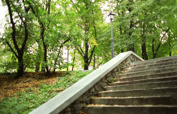 Escaliers dans le parc d'automne — Photo