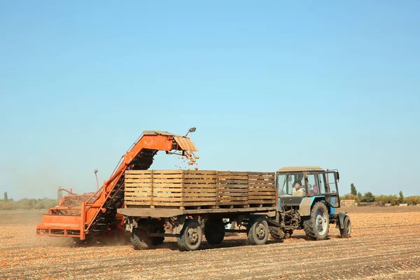 Onion harvesting with modern agricultural equipment — Stock Photo, Image