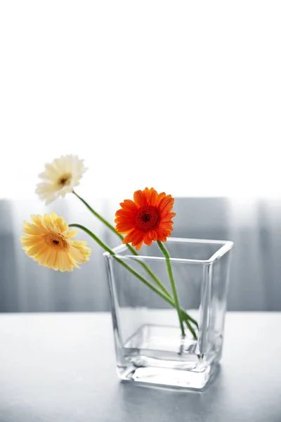 Beautiful daisy flowers in glass vase — Stock Photo, Image