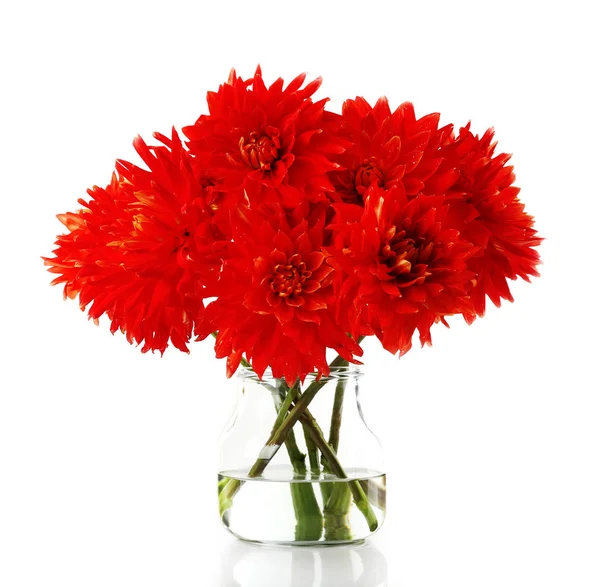 Krásná červená dahlia květiny ve váze — Stock fotografie