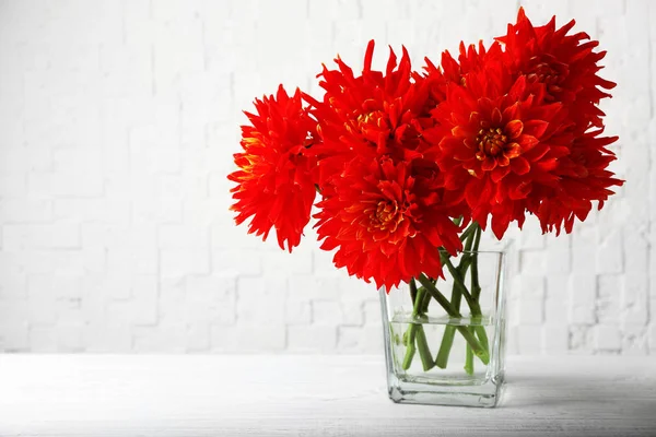 Schöne rote Dahlienblüten in der Vase — Stockfoto