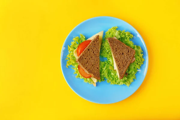 Placa azul com sanduíches saborosos — Fotografia de Stock