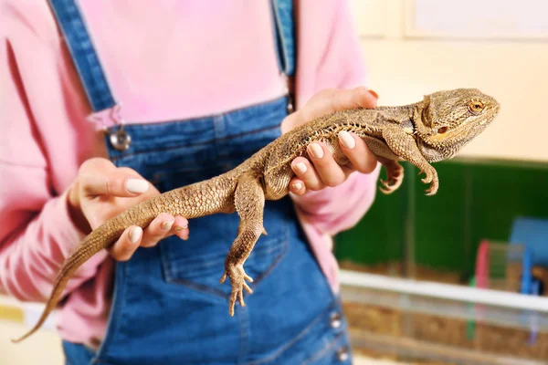 Mujer joven sosteniendo lagarto agama — Foto de Stock