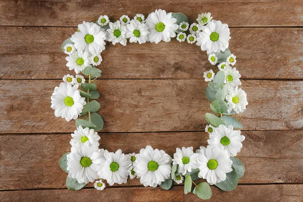 Beautiful Chamomile frame — Stock Photo, Image