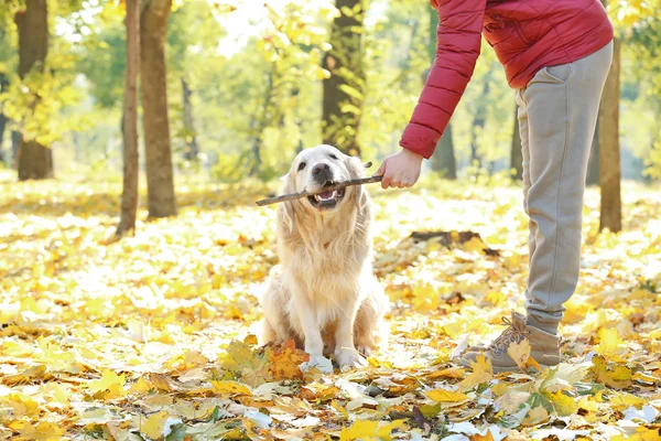 Man training his dog — Stockfoto