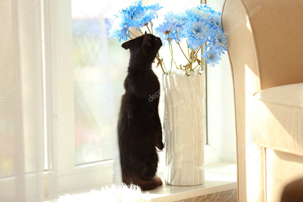 Cute black cat sniffing flowers