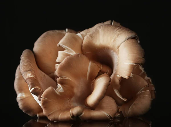 Fresh mushrooms on black background — Stock Photo, Image