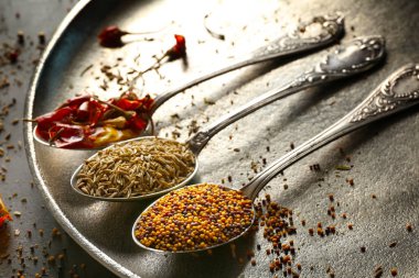 kaşık içinde farklı baharatlar