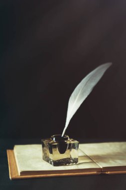 InkWell tüy kalemle