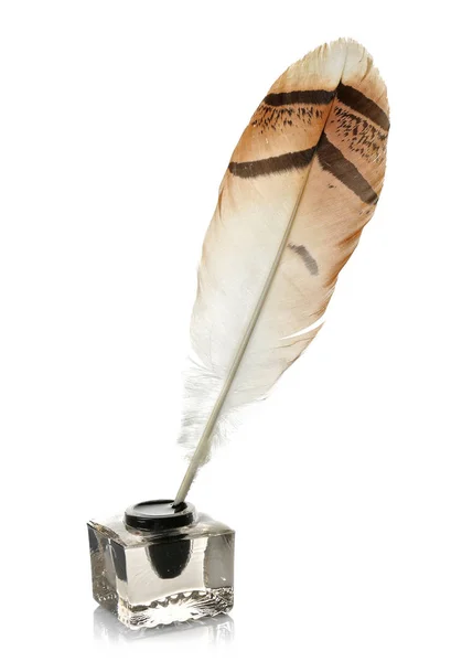 Fjäder penna i glas bläckhorn — Stockfoto
