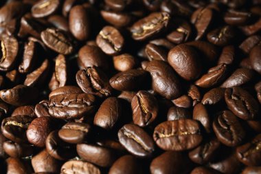 taze kahve çekirdekleri 