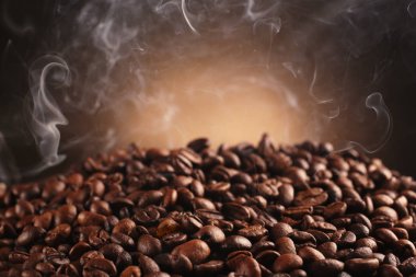 taze kahve çekirdekleri 