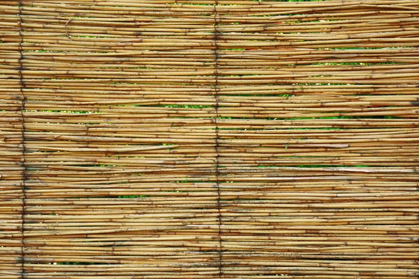 Fundo Reed Textura Natural Listrada — Fotografia de Stock