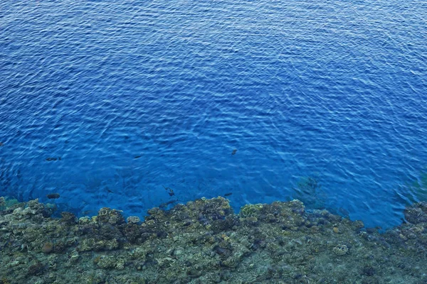 Povrch Moře Korálovými Útesy — Stock fotografie