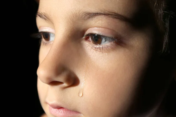 Pequeño Llorón Sobre Fondo Negro Vista Cerca — Foto de Stock