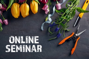 Text ONLINE SEMINAR