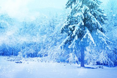 güzel manzara arka plan