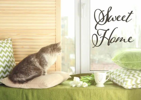 Pencerenin kenarında oturan sevimli kedi.