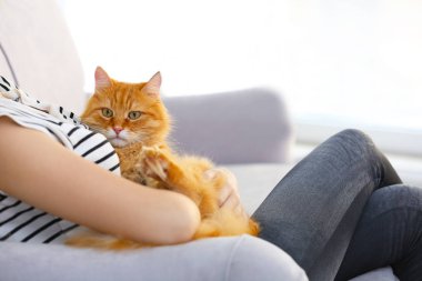 Kırmızı tüylü kedi kız