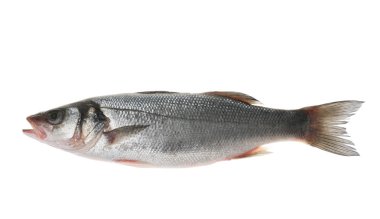 çiğ balık izole