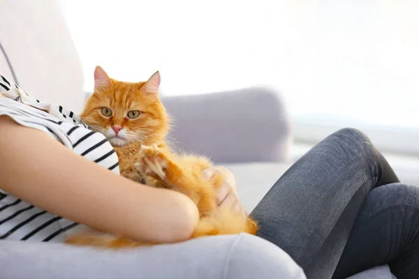 Chica con rojo esponjoso gato —  Fotos de Stock