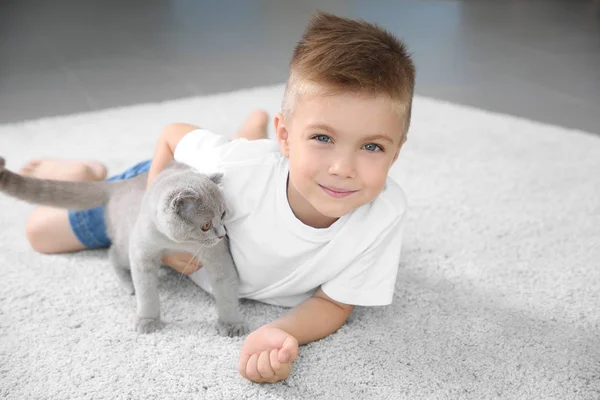 Мальчик с британским котенком — стоковое фото