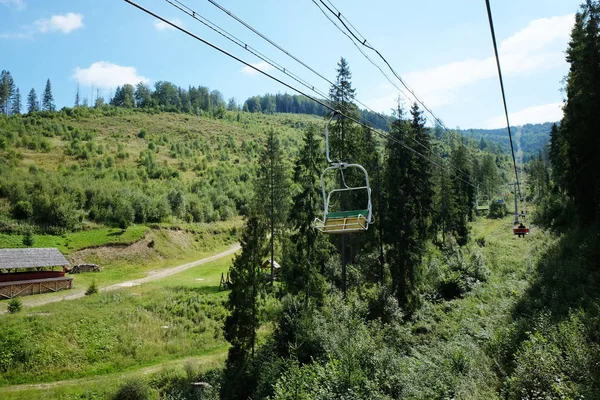 Green wood mountain forest — Stock Photo, Image