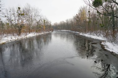 Nehir kış ormanında