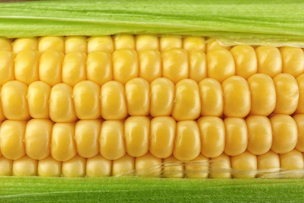 成熟的新鲜玉米 — 图库照片