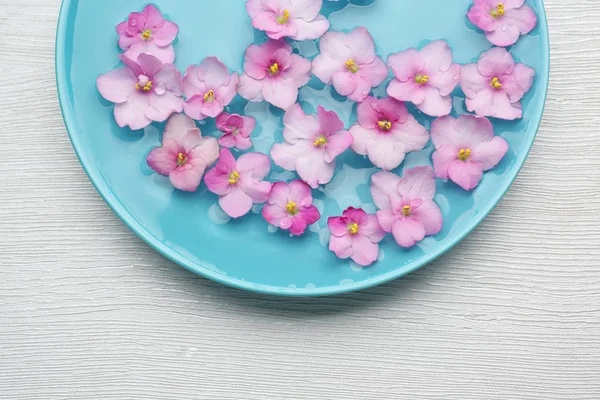 Vackra blommor på vatten — Stockfoto