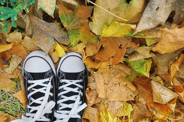 Pies humanos en zapatillas de deporte en hojas de otoño —  Fotos de Stock