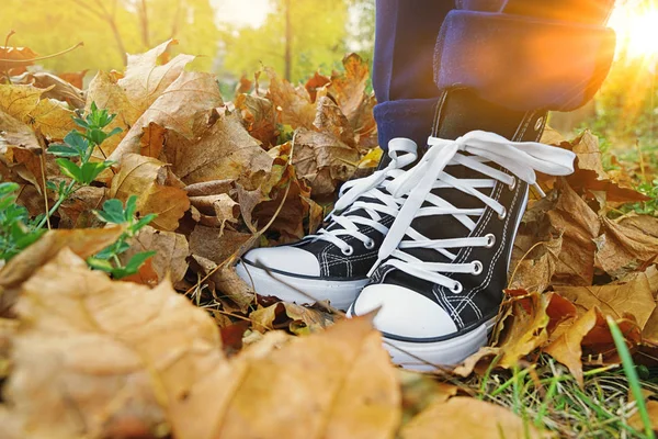 Human feet in sneakers on autumn leaves