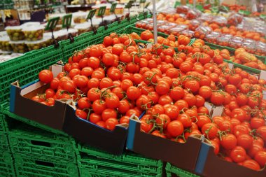 kutulara taze domates