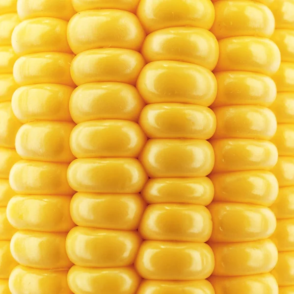 新鲜玉米质地 — 图库照片