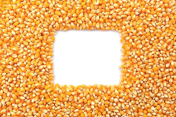Grãos de milho com espaço vazio — Fotografia de Stock