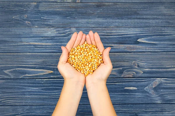 Vrouwelijke handen met maïs zaden — Stockfoto