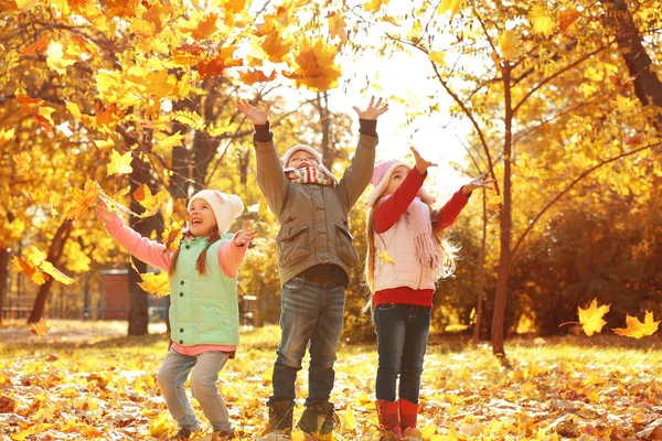 Sekelompok Anak Anak Bahagia Beristirahat Taman Musim Gugur Yang Indah — Stok Foto