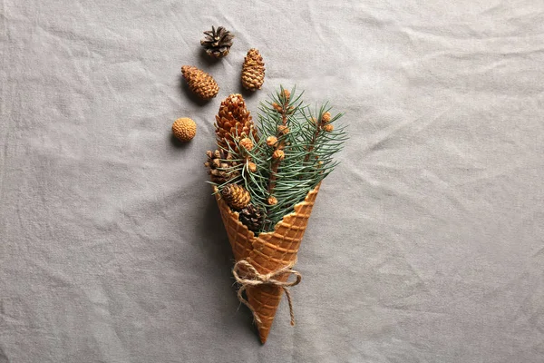 Cone with coniferous branches — Stock Photo, Image