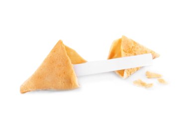 şans kurabiyesi boş mesaj ile