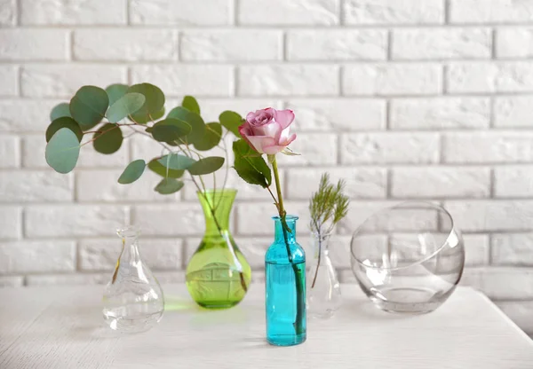 Plantas en jarrones de vidrio sobre mesa — Foto de Stock