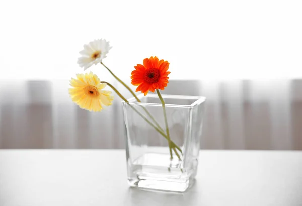 Beautiful daisy flowers in glass vase — Stock Photo, Image