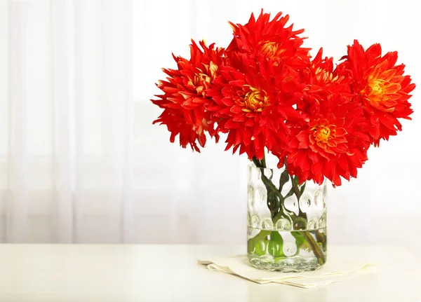Beautiful red dahlia flowers — Stock Photo, Image