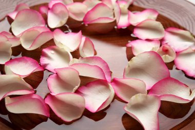 çiçek yaprakları ile Spa kompozisyon