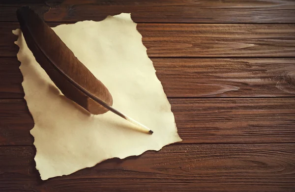 Tüy kalem ve boş kağıt — Stok fotoğraf