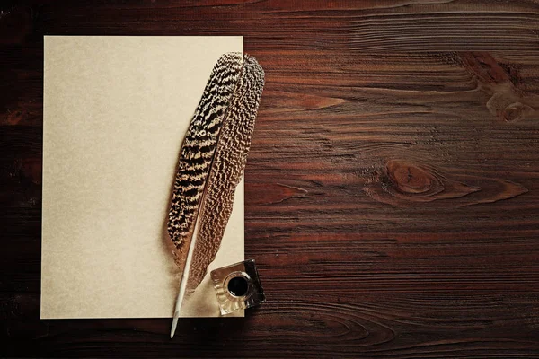 Feather pen with inkwell — Stock Photo, Image