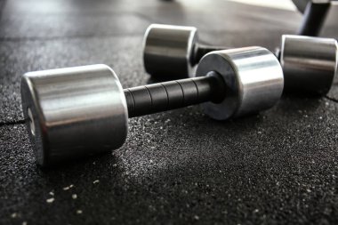 Halter salonunda katta çifti