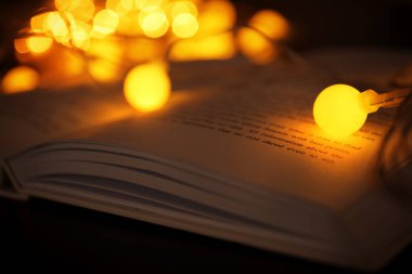 kitap ve güzel garland